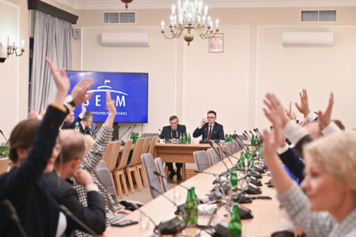 Posłowie Polski 2050 w stałych komisjach sejmowych